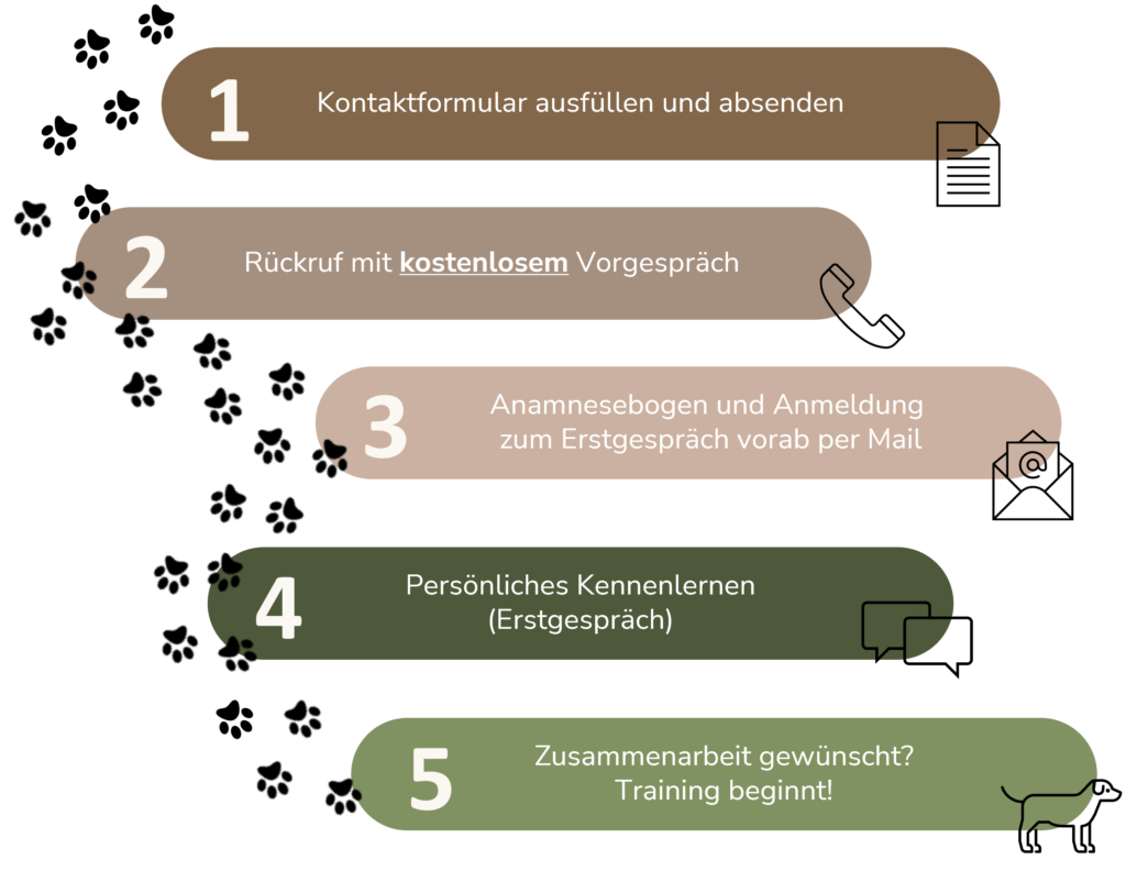 1. Kontaktformular ausfüllen
2. Rückruf mit kostenlosem Vorgesrpäch
3. Anamnesebogen vorab per Mail
4. Erstgespräch
5. Das Training beginnt!